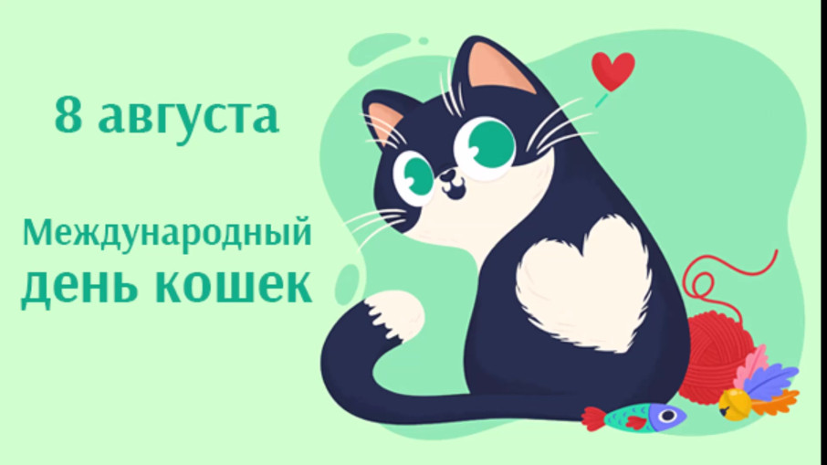 "Наши пушистые друзья" "Наши пушистые друзья".